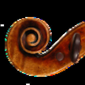 Meet your Posher, Noah